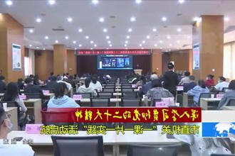 深入学习宣传贯彻党的二十大精神(11.10)