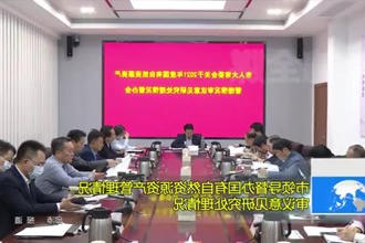 市领导督办国有自然资源资产管理情况审议意见研究处理情况