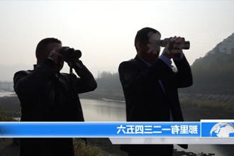 石门：仙阳湖畔 中华秋沙鸭与白鹭共栖