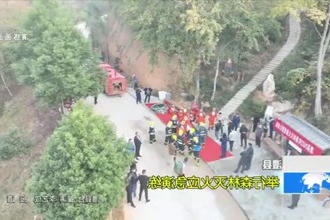 澧县：举行森林灭火应急演练
