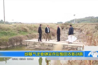 澧县：高标准农田建设夯实粮食生产基础