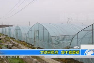 武陵：草莓喜丰收 党员带货忙