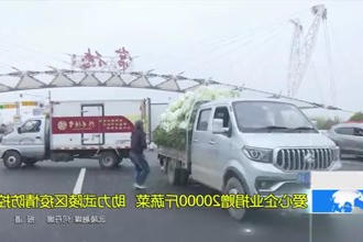 爱心企业捐赠20000斤蔬菜 助力武陵区疫情防控