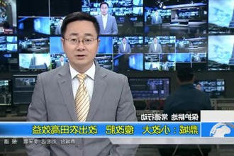 鼎城：小改大 瘦改肥 改出农田高效益