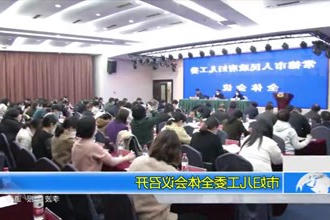 常德市妇儿工委全体会议召开