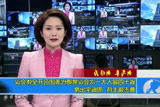 省十四届人大一次会议常德代表团召开全体会议 曹志强主持 周振宇出席