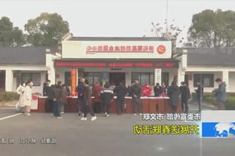 常德市委宣传部 市文联：开展送春联活动
