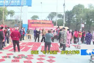 安乡：举行大学生