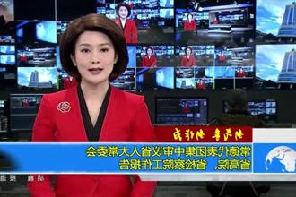 常德代表团集中审议省人大常委会、省高院、省检察院工作报告