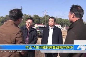 市领导到临澧调研烟叶生产工作
