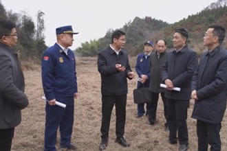 曹志强赴桃源县督导森林防灭火工作