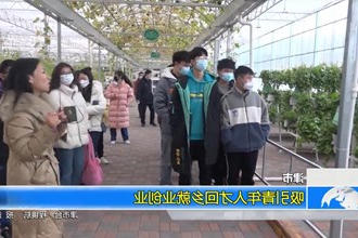 津市：吸引青年人才回乡就业创业