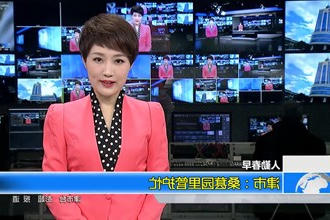（人勤春早）津市：桑葚园里管护忙