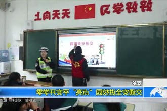 安乡：交通安全进校园