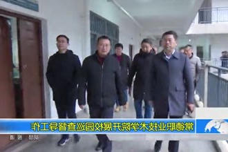 常德职业技术学院开展校园巡查督导工作