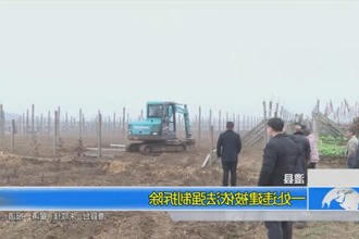 澧县：一处违建被依法强制拆除