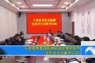 市领导参加指导桃源县委常委班子2022年度民主生活会