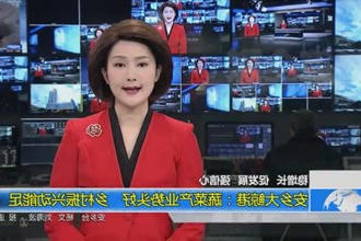 安乡大鲸港：蔬菜产业势头好 乡村振兴动能足