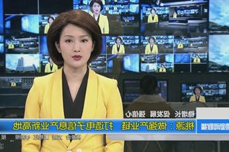 桃源：做强产业链 打造电子信息产业新高地