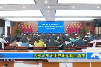 市直卫健系统党组织书记述职