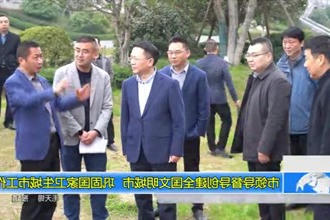 市领导督导创建全国文明城市 巩固国家卫生城市工作