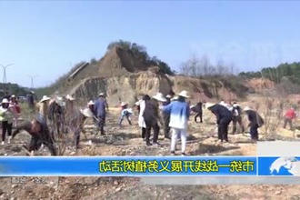 常德市统一战线开展义务植树活动