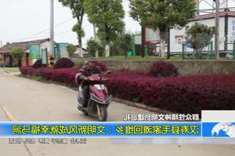 汉寿县毛家滩回维乡：文明新风成就幸福马涧