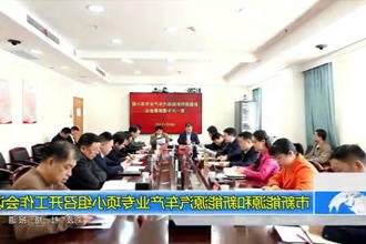 市新能源和新能源汽车产业专项小组召开工作会议