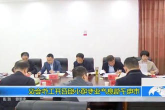 市电子信息产业专项小组召开工作会议