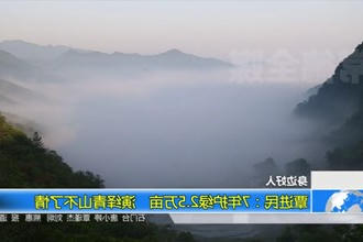 覃进民：7年护绿2.5万亩 演绎青山不了情