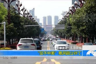丁玲公园风景