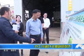市领导视察乡村振兴工作