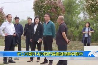 市领导调研沔泗村乡村振兴工作