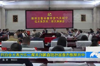 中共常德市委宣传部直属机关第二次代表大会召开