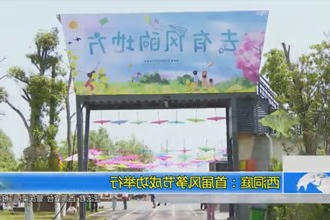 西洞庭举办首届风筝节
