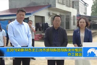 民建中央调研部调研我市长江生态环境保护民主监督工作