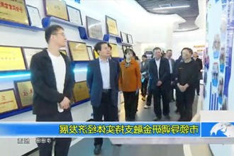 市领导调研金融支持实体城市经济概况