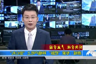鼎城：专家