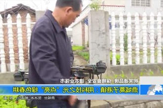 树常德品牌 保粮食安全 建农业强市(5.3)