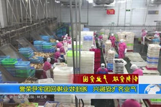 产业齐飞促振兴 湘佳牧业捧回国字号荣誉