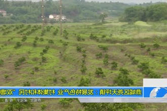 鼎城区尧天坪镇：发展特色产业 村集体和村民