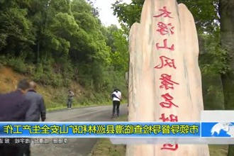 市领导督导检查临澧县巡林和矿山安全生产工作
