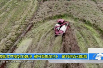 鼎城区双桥坪镇：4万亩油菜开镰 机械化收割节本增效