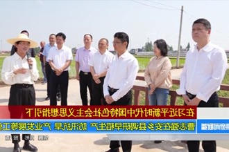 曹志强在安乡县调研早稻生产、防汛抗旱、产业发展等工作