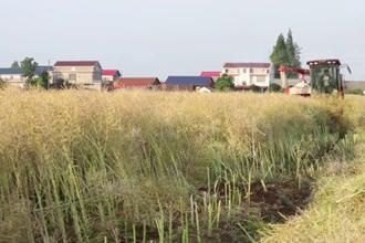 鼎城：收割分
