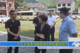 市领导督导林长制及尾矿库安全工作