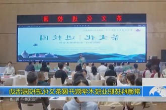 常德科技职业技术学院开展茶文化进校园活动