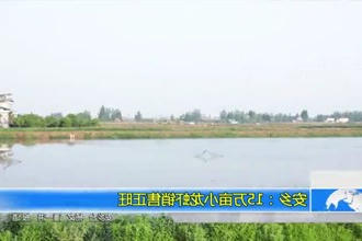 安乡：15万亩小龙虾销售正旺