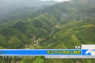 桃源： 雪峰山梭罗花开正浓