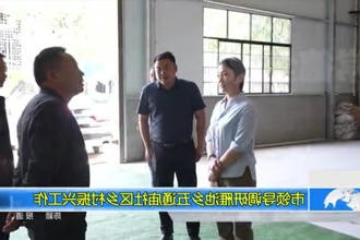 市领导调研雁池乡五通庙社区乡村振兴工作